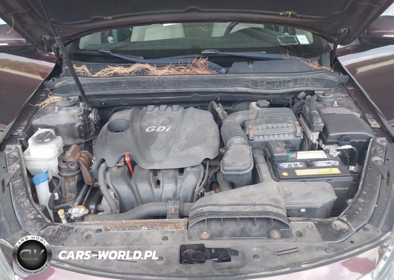 2011 Kia Optima Lx VIN:KNAGM4A73B5174993 - 10