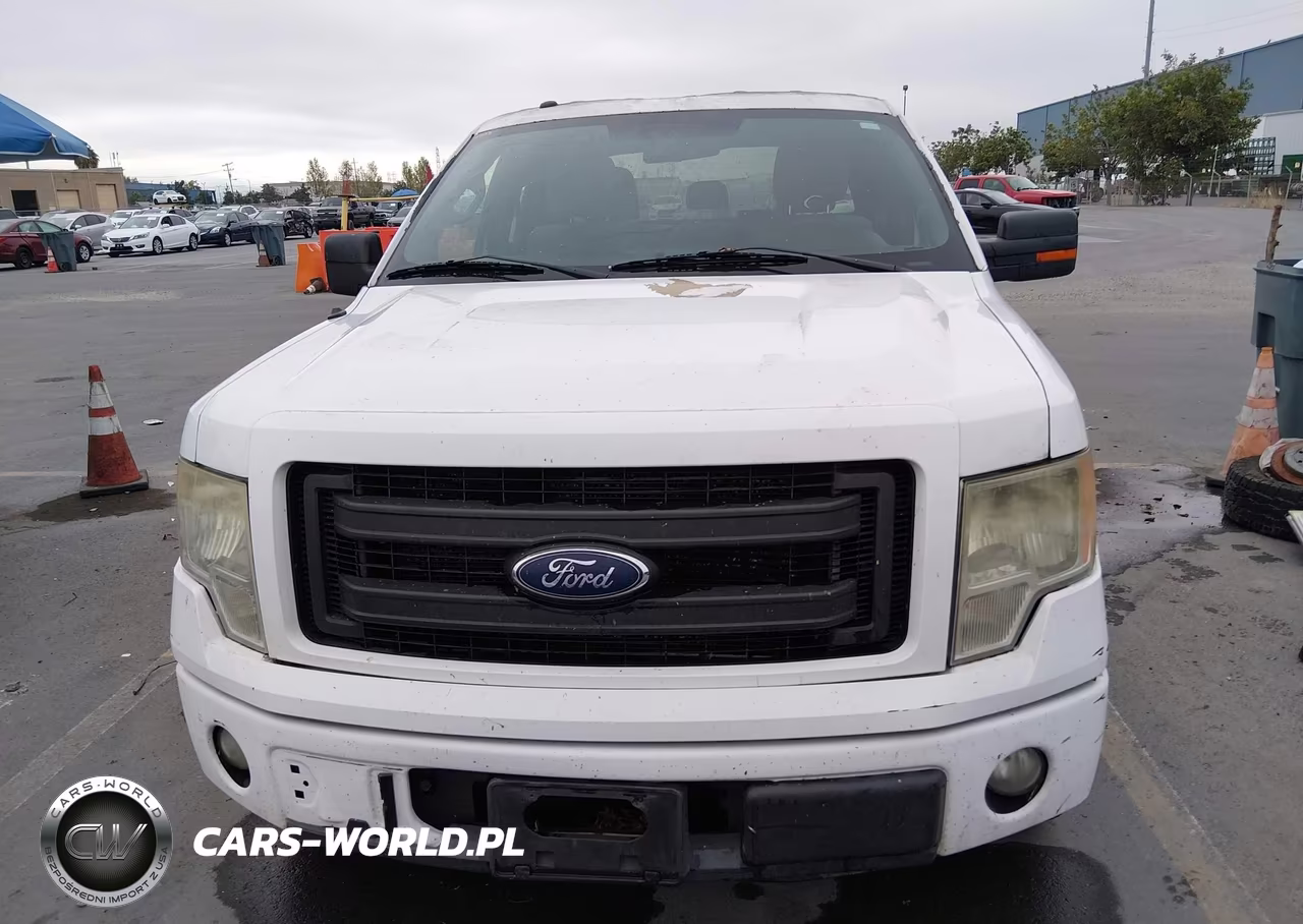 2013 Ford F-150 Stx VIN:1FTEX1CM1DFD26964 - 13