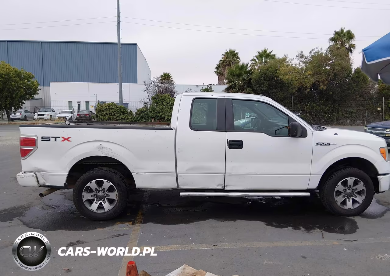 2013 Ford F-150 Stx VIN:1FTEX1CM1DFD26964 - 14
