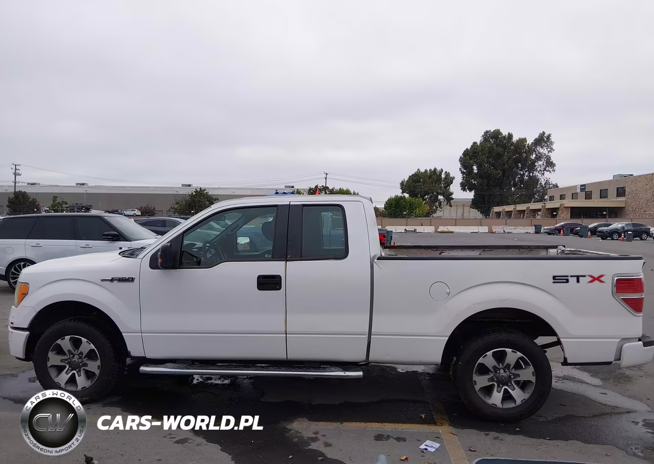 2013 Ford F-150 Stx VIN:1FTEX1CM1DFD26964 - 15