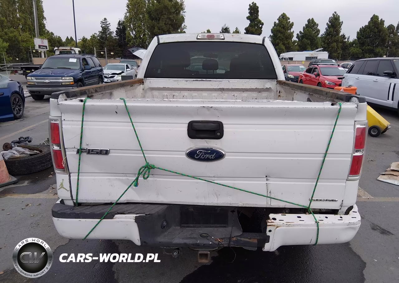 2013 Ford F-150 Stx VIN:1FTEX1CM1DFD26964 - 17