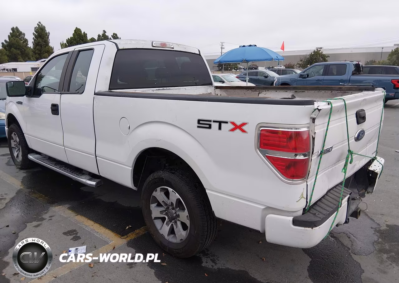 2013 Ford F-150 Stx VIN:1FTEX1CM1DFD26964 - 3
