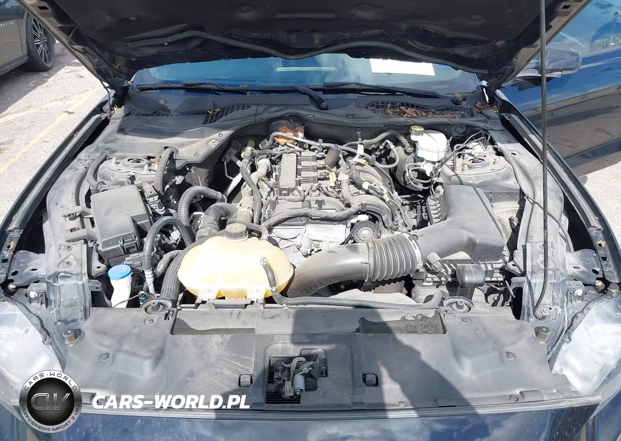 2022 Ford Mustang Ecoboost Fastback VIN:1FA6P8TH0N5130544 - 10