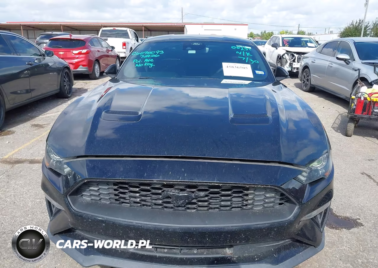 2022 Ford Mustang Ecoboost Fastback VIN:1FA6P8TH0N5130544 - 11