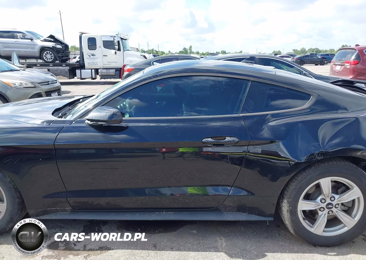 2022 Ford Mustang Ecoboost Fastback VIN:1FA6P8TH0N5130544 - 13