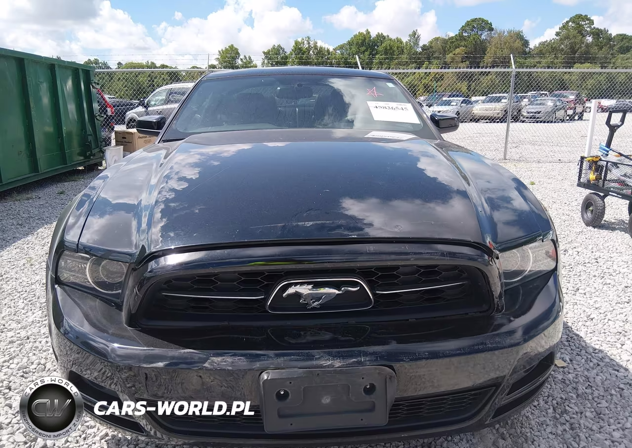 2013 Ford Mustang V6 Premium VIN:1ZVBP8AM9D5249472 - 12
