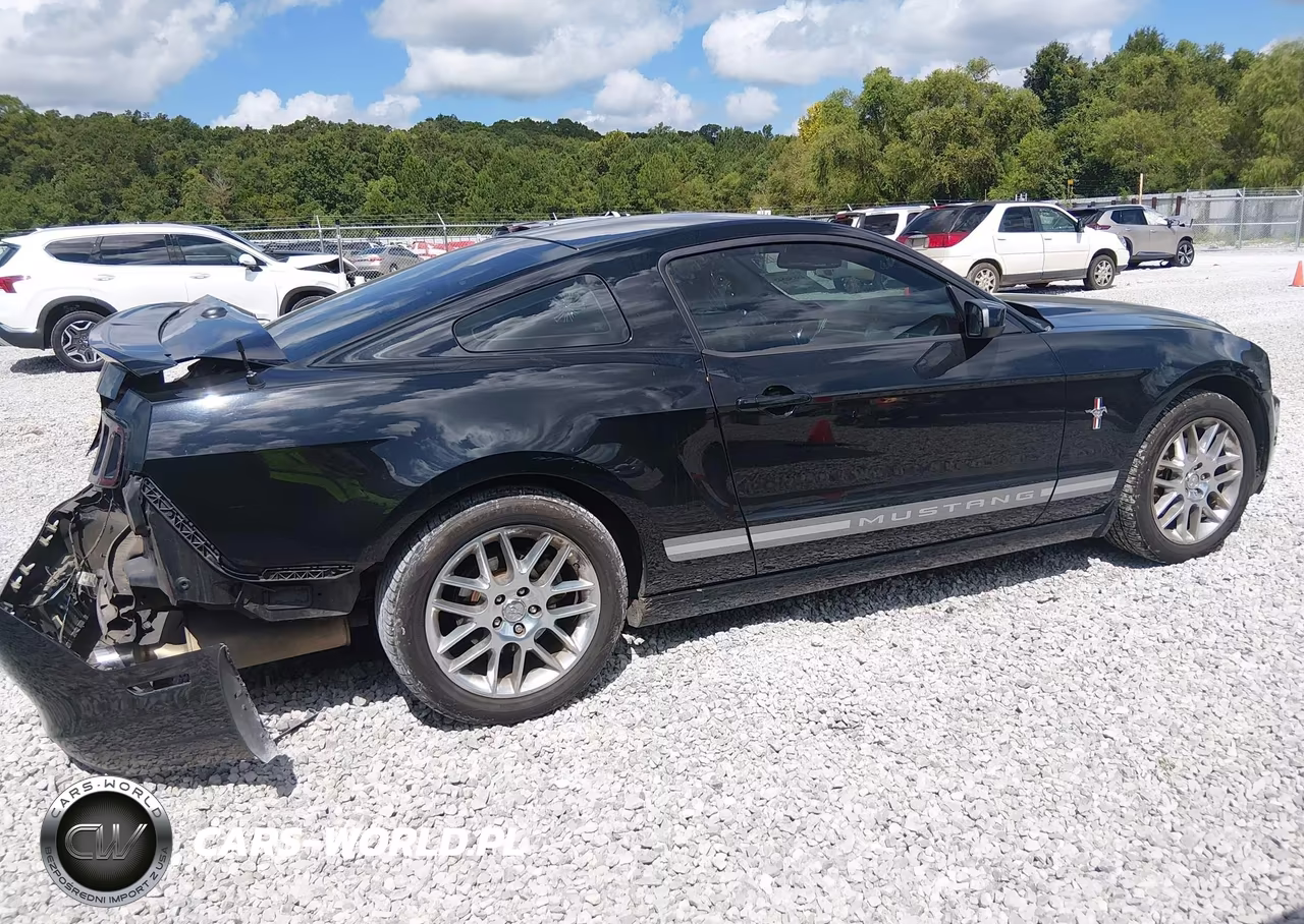2013 Ford Mustang V6 Premium VIN:1ZVBP8AM9D5249472 - 13
