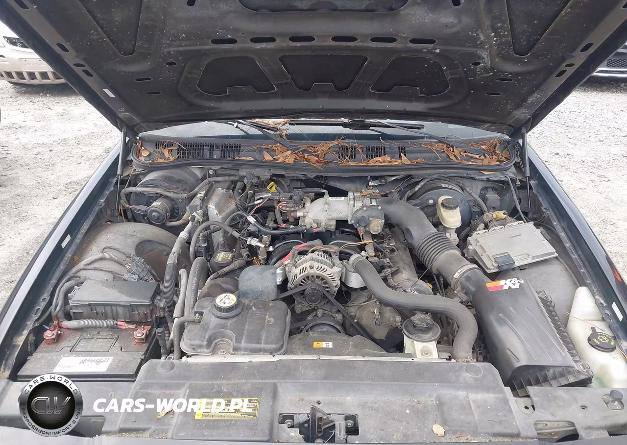 2009 Ford Crown Victoria Police Interceptor VIN:2FAHP71V69X141094 - 10