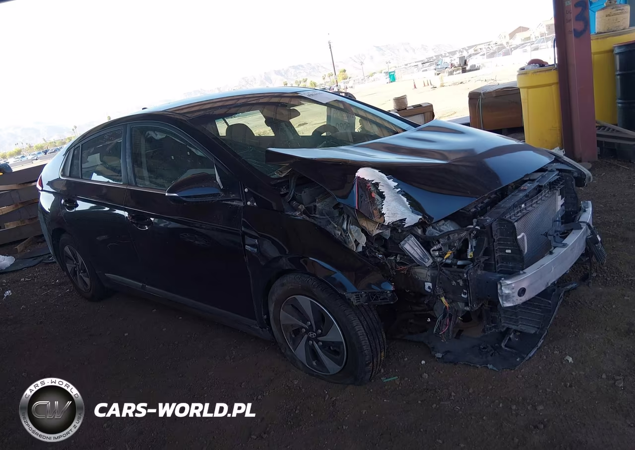 2019 Hyundai Ioniq Hybrid Sel VIN:KMHC75LC7KU139738 - 1