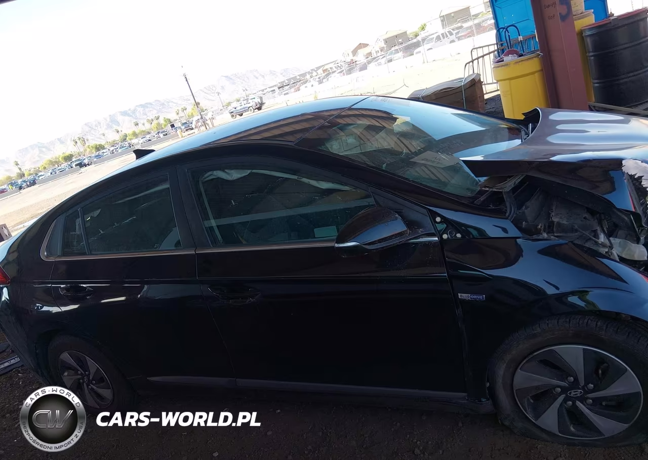 2019 Hyundai Ioniq Hybrid Sel VIN:KMHC75LC7KU139738 - 14