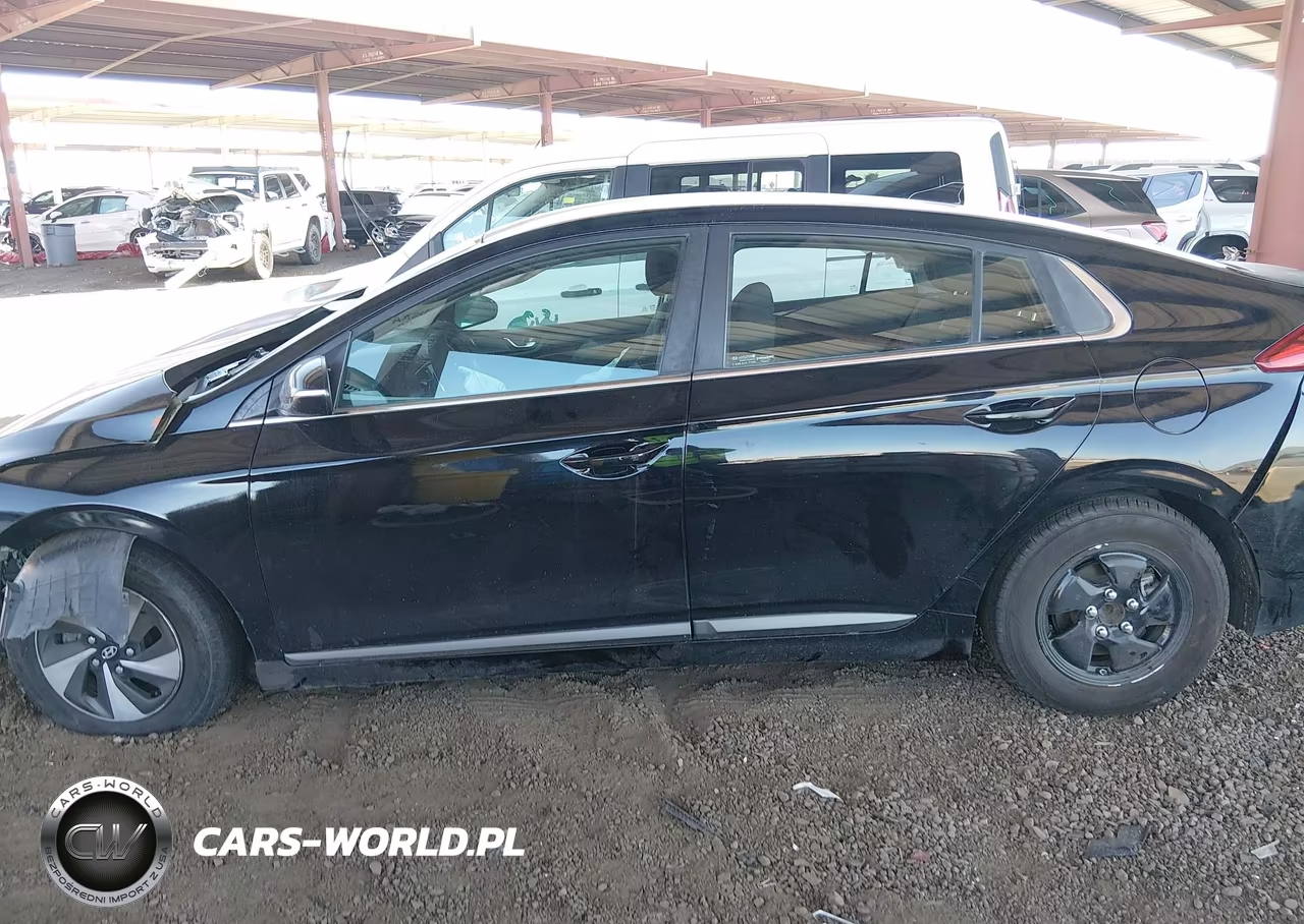 2019 Hyundai Ioniq Hybrid Sel VIN:KMHC75LC7KU139738 - 15