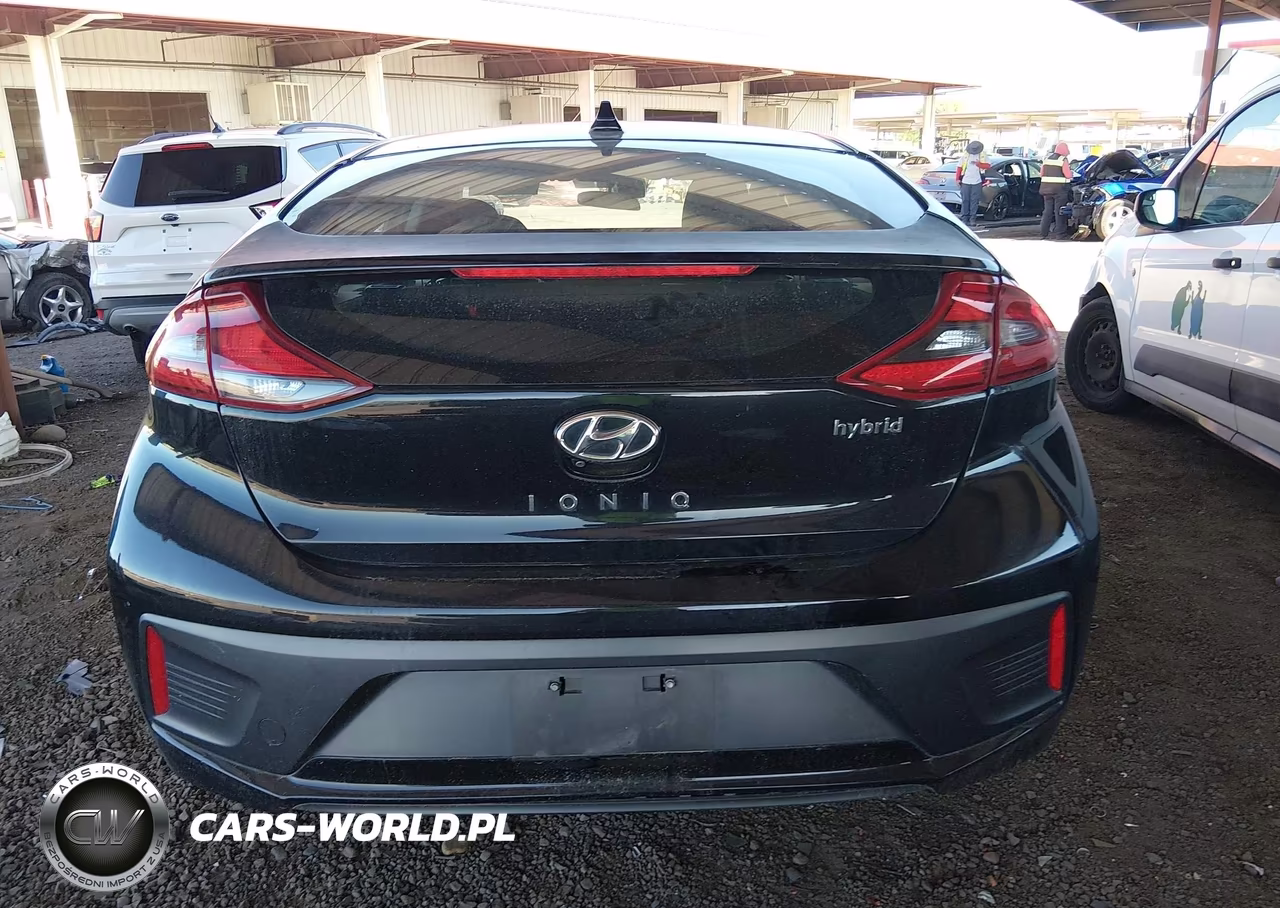 2019 Hyundai Ioniq Hybrid Sel VIN:KMHC75LC7KU139738 - 17