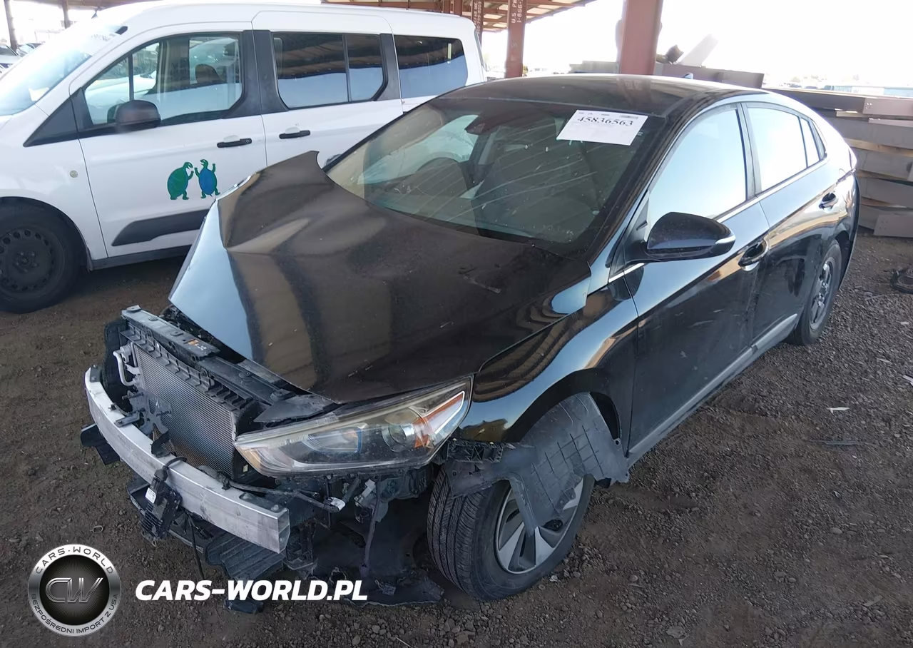 2019 Hyundai Ioniq Hybrid Sel VIN:KMHC75LC7KU139738 - 2