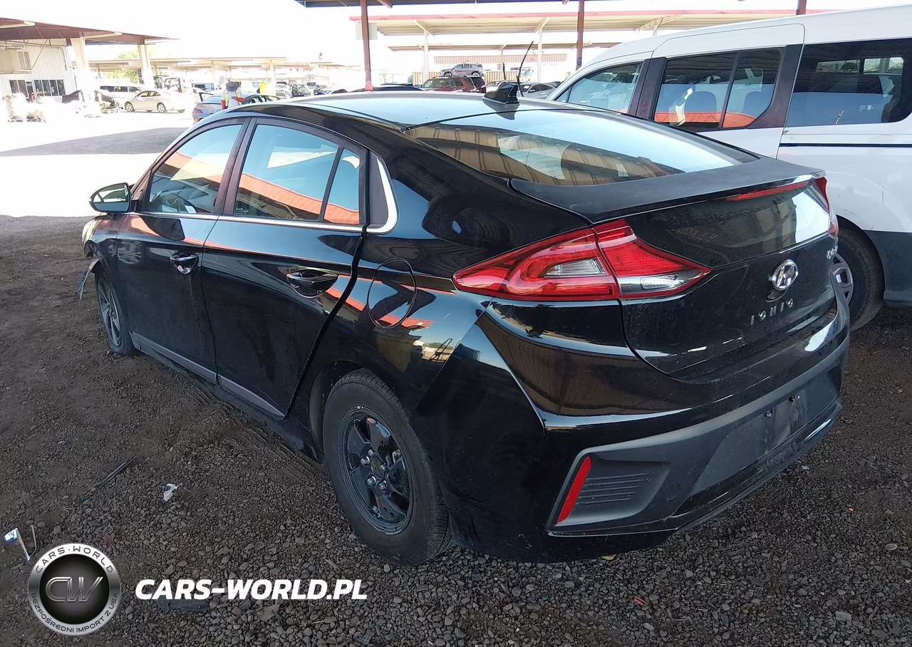 2019 Hyundai Ioniq Hybrid Sel VIN:KMHC75LC7KU139738 - 3