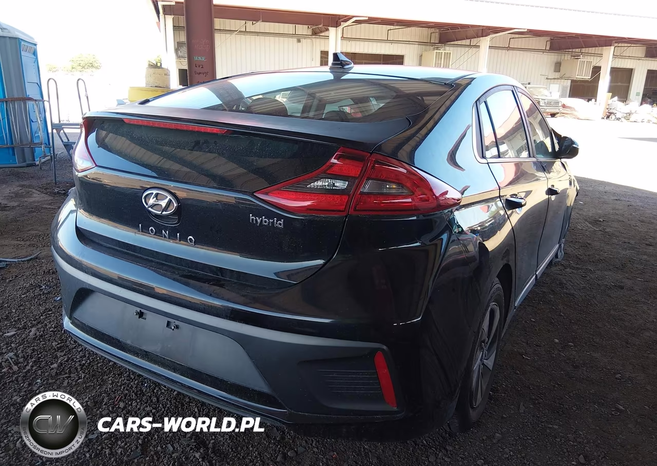 2019 Hyundai Ioniq Hybrid Sel VIN:KMHC75LC7KU139738 - 4