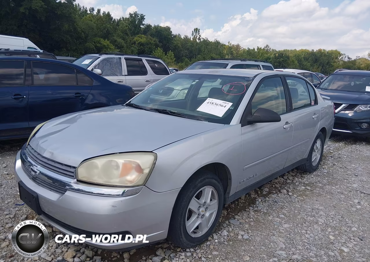 2005 Chevrolet Malibu Ls VIN:1G1ZT54885F177761 - 2
