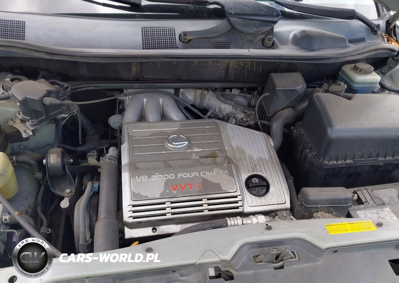 2002 Lexus Rx 300 VIN:JTJHF10U920253926 - 10