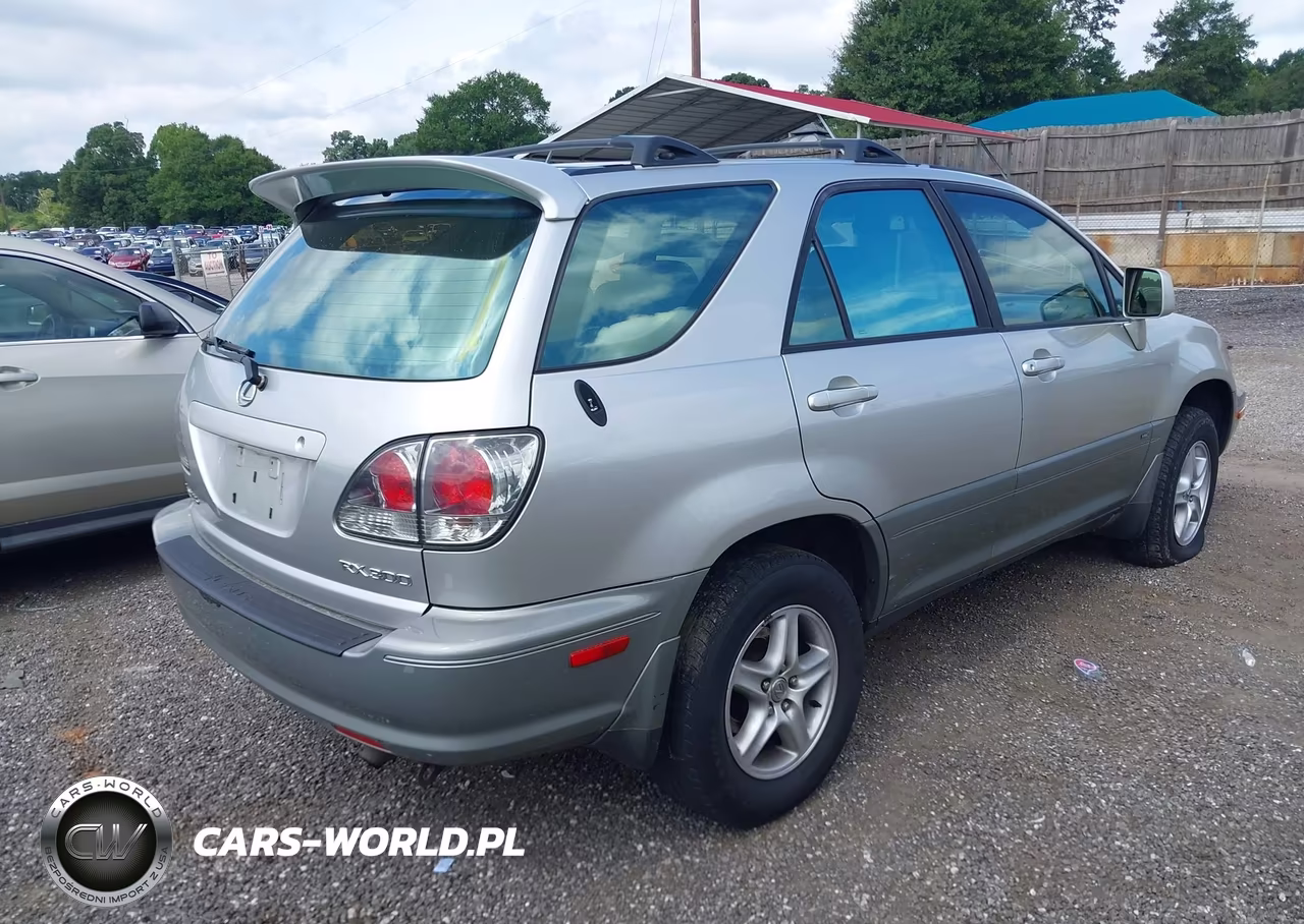 2002 Lexus Rx 300 VIN:JTJHF10U920253926 - 4