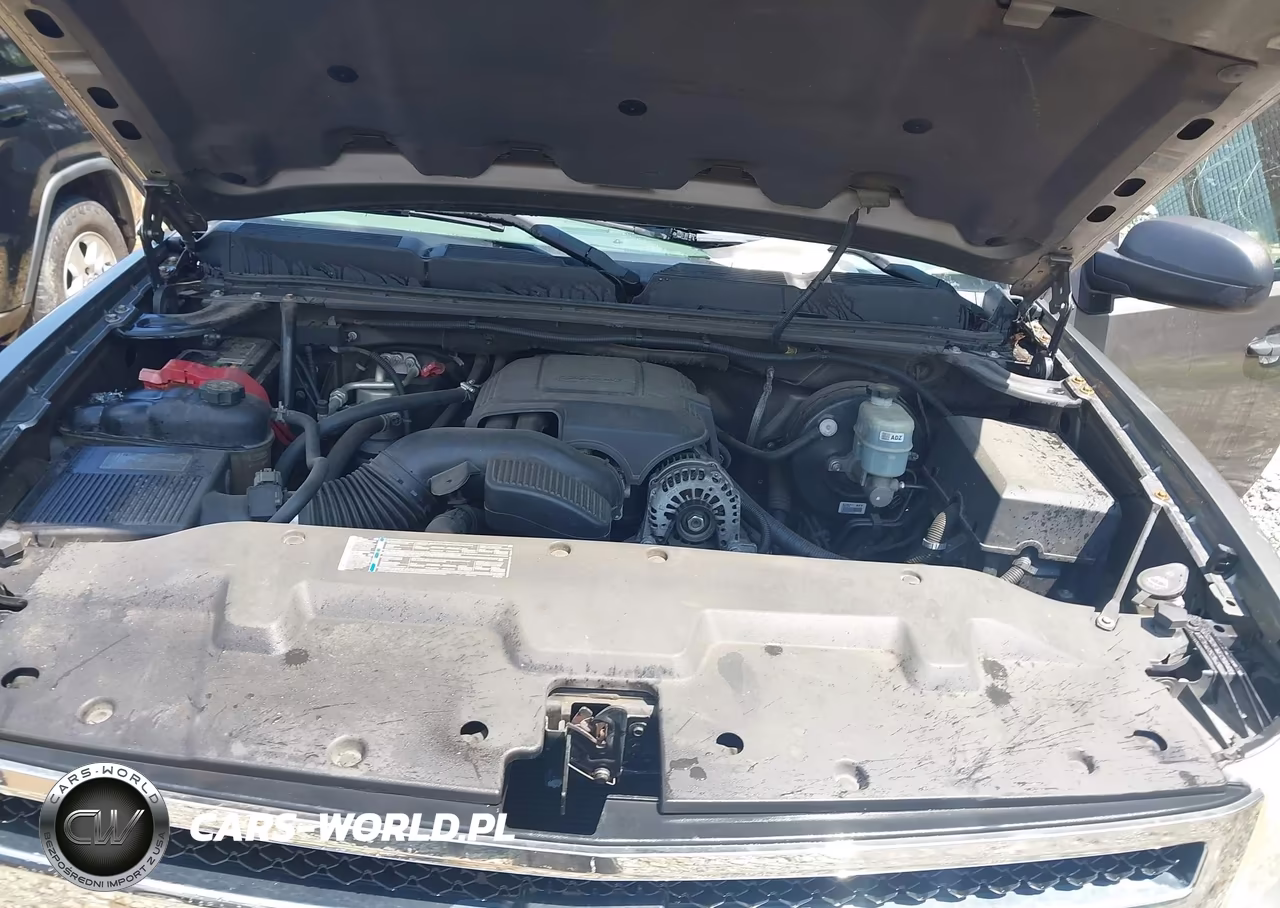2009 Chevrolet Silverado 1500 Ls VIN:1GCEC19C09Z196143 - 10