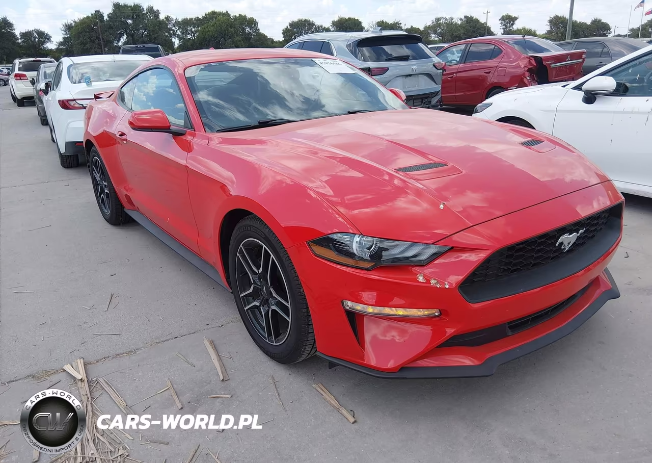 2020 Ford Mustang Ecoboost Fastback – zdjęcie 1 z 16