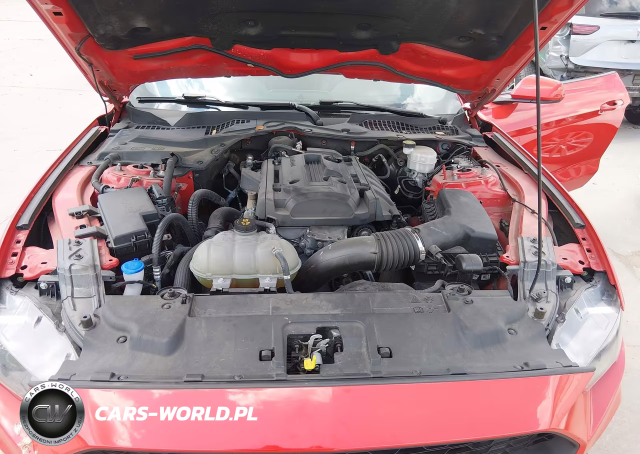2020 Ford Mustang Ecoboost Fastback VIN:1FA6P8TH3L5169707 - 10
