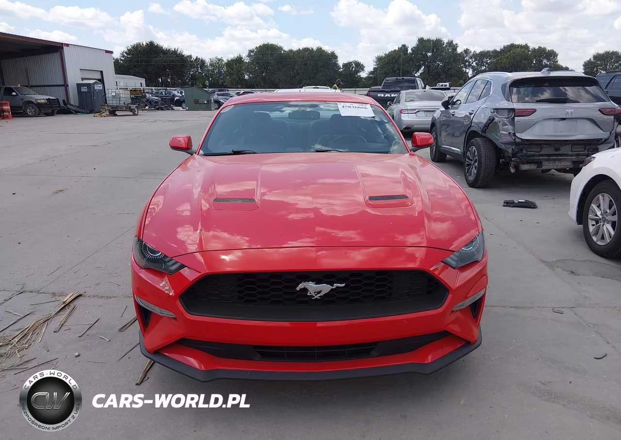 2020 Ford Mustang Ecoboost Fastback VIN:1FA6P8TH3L5169707 - 12