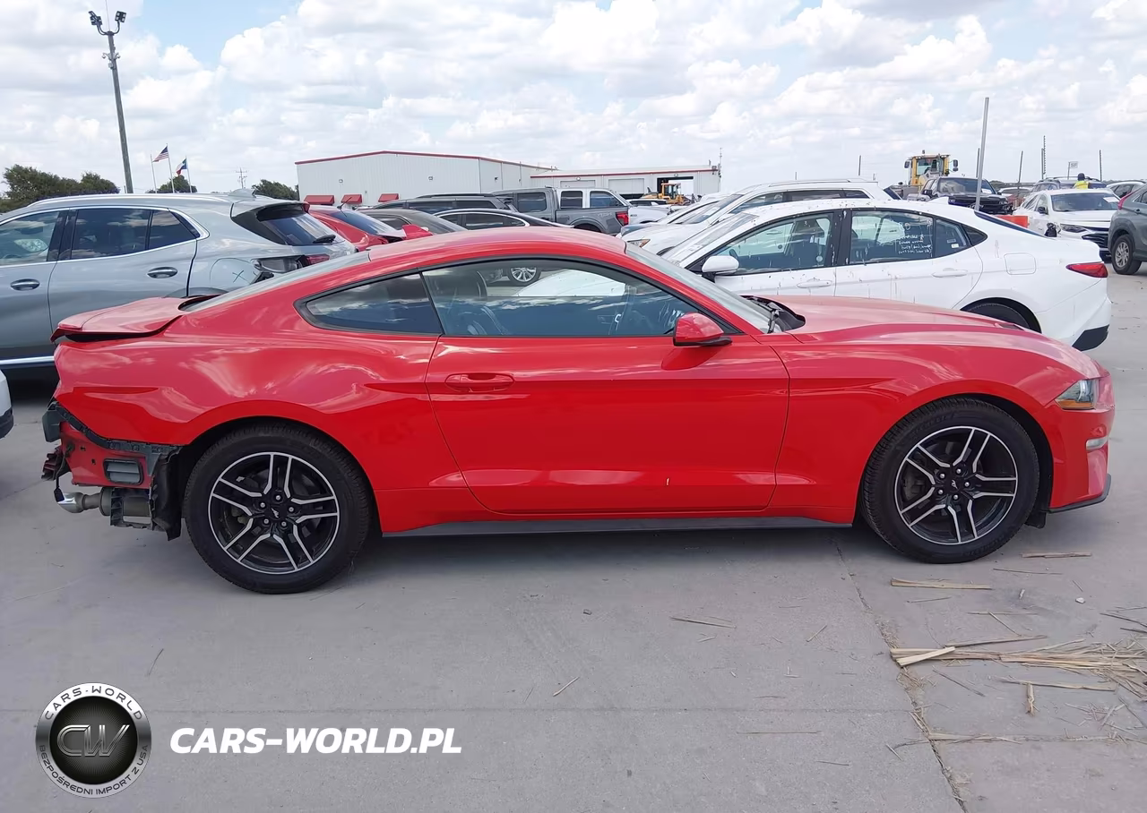 2020 Ford Mustang Ecoboost Fastback VIN:1FA6P8TH3L5169707 - 13