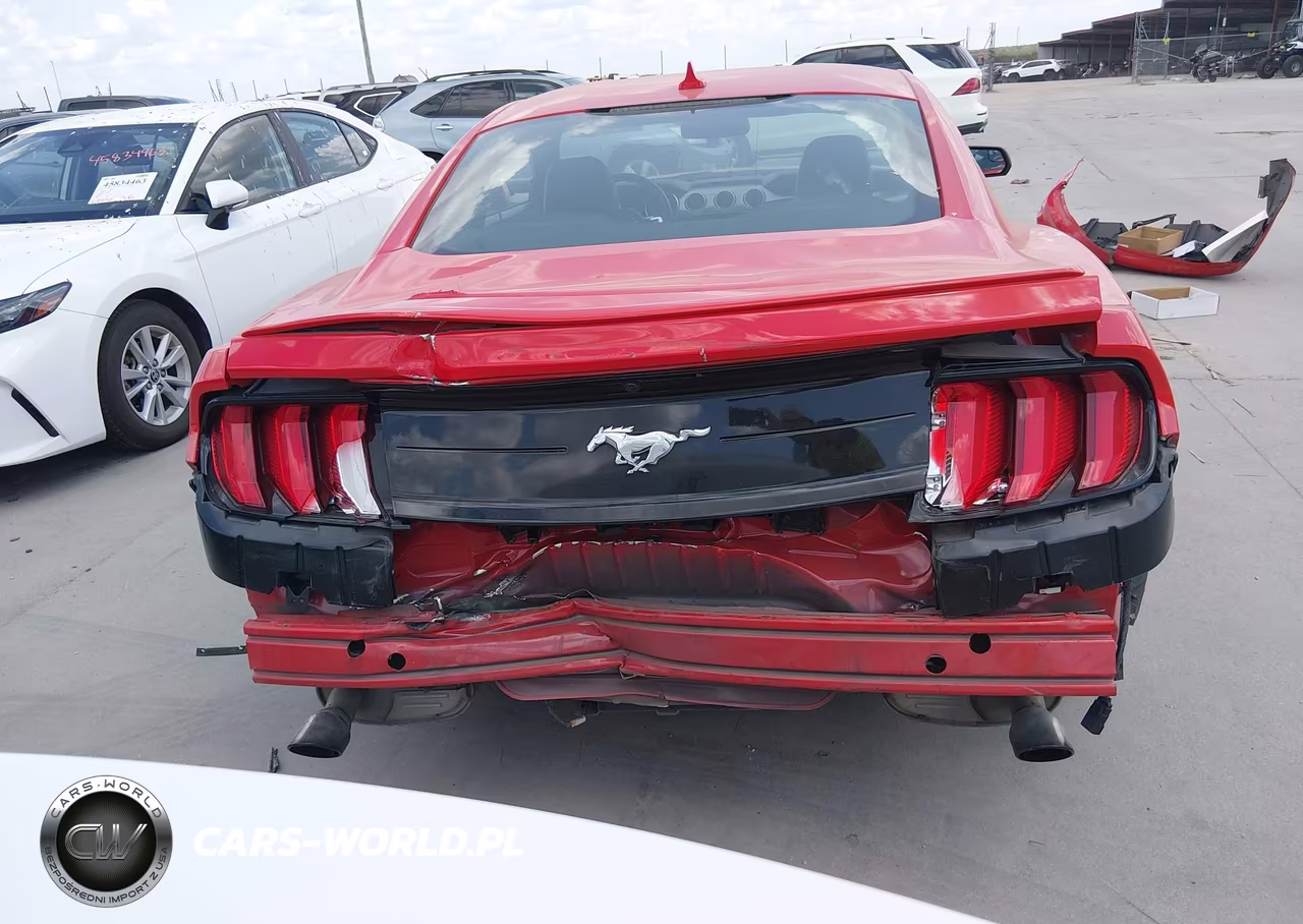 2020 Ford Mustang Ecoboost Fastback VIN:1FA6P8TH3L5169707 - 16