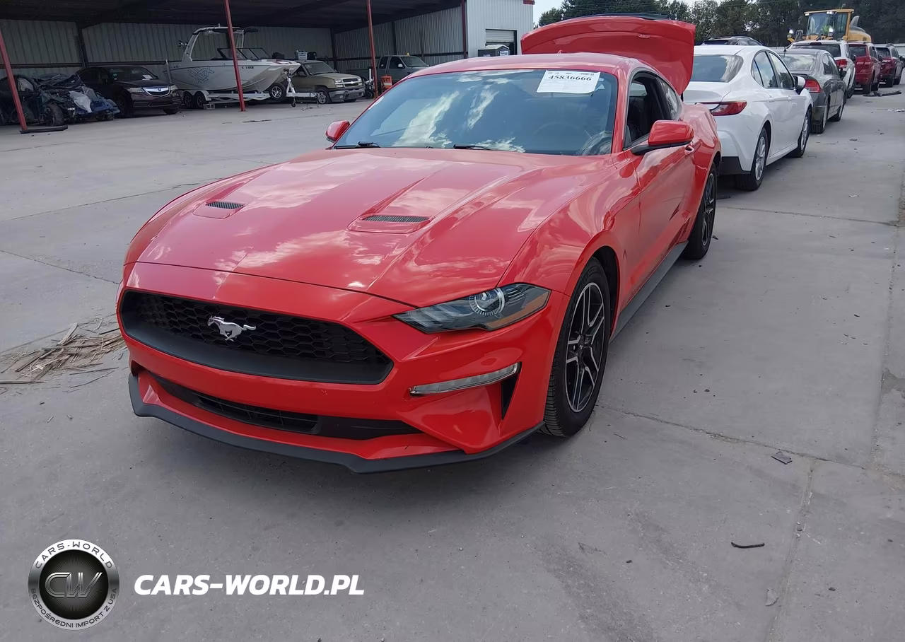 2020 Ford Mustang Ecoboost Fastback VIN:1FA6P8TH3L5169707 - 2