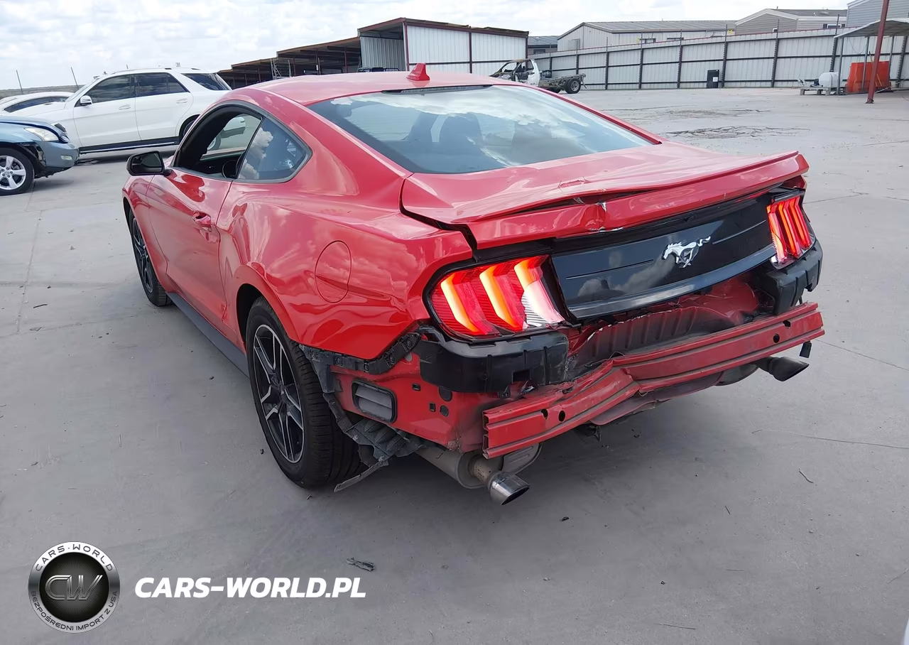 2020 Ford Mustang Ecoboost Fastback VIN:1FA6P8TH3L5169707 - 3