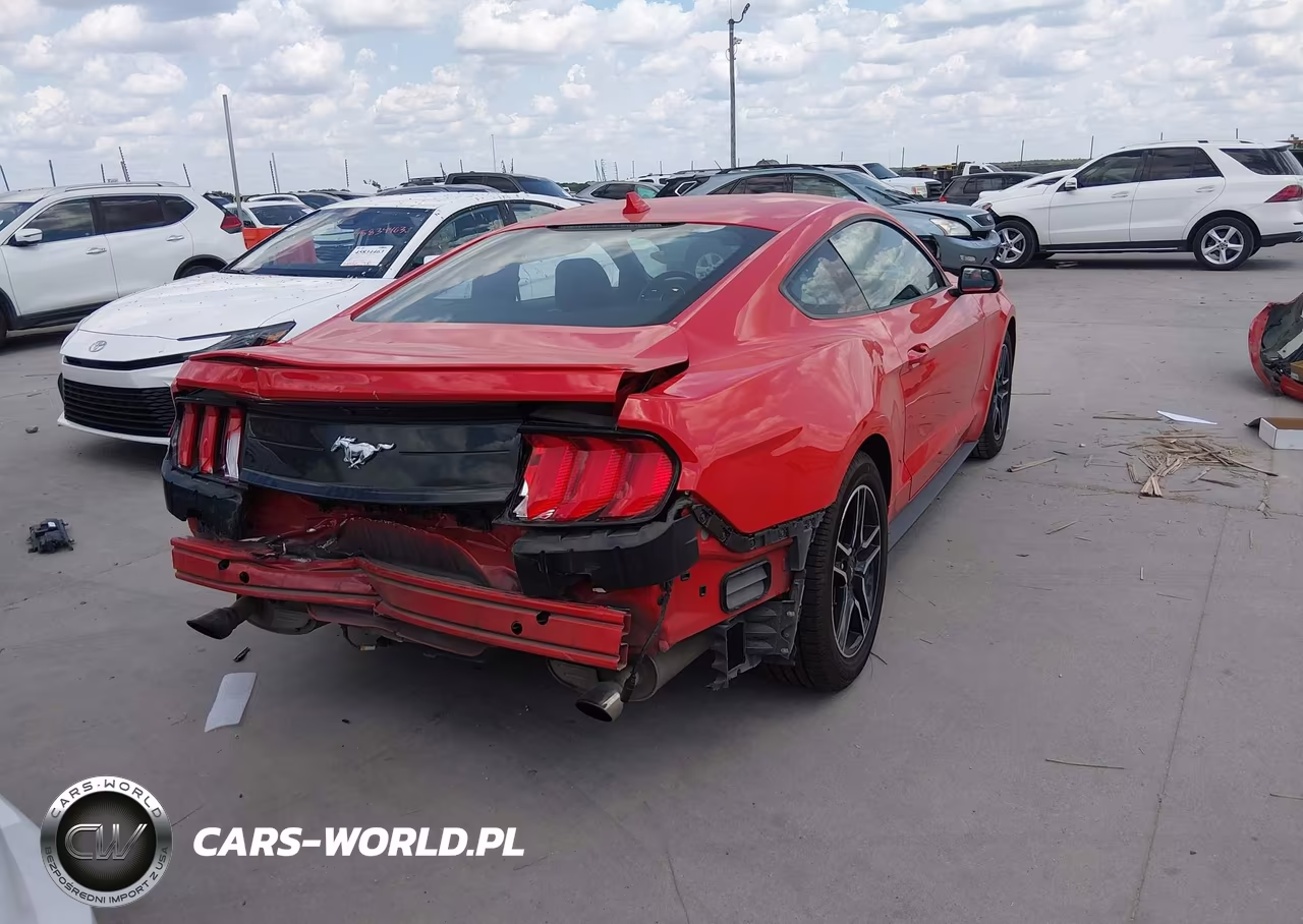 2020 Ford Mustang Ecoboost Fastback VIN:1FA6P8TH3L5169707 - 4
