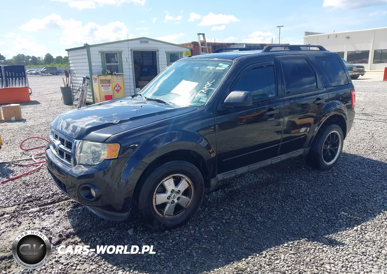 2011 Ford Escape Xlt VIN:1FMCU0D78BKB74992 - 2