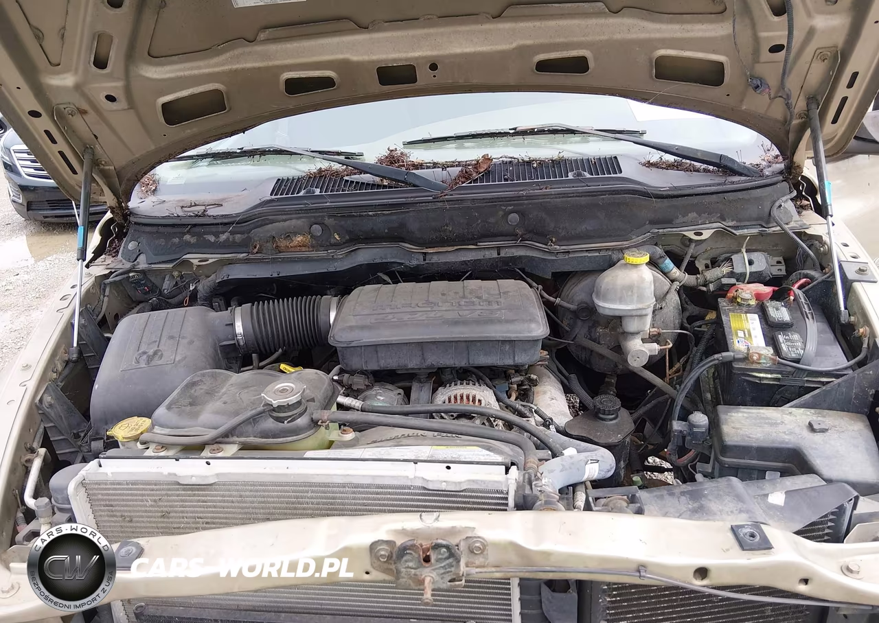 2002 Dodge Ram 1500 St VIN:1D7HA18N02S726542 - 10