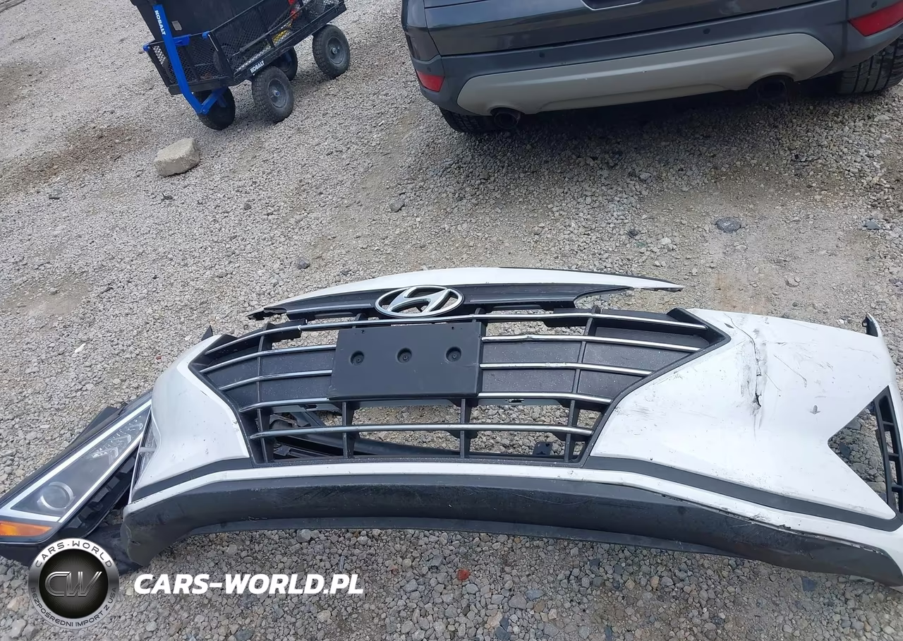 2019 Hyundai Elantra Limited VIN:5NPD84LFXKH454764 - 12