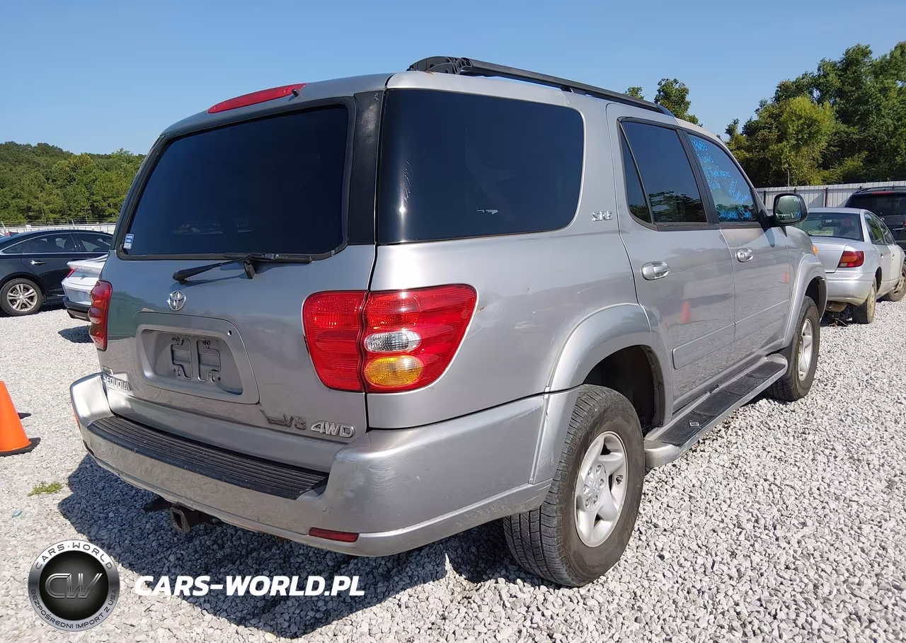 2002 Toyota Sequoia Sr5 V8 VIN:5TDBT44AX2S096813 - 4