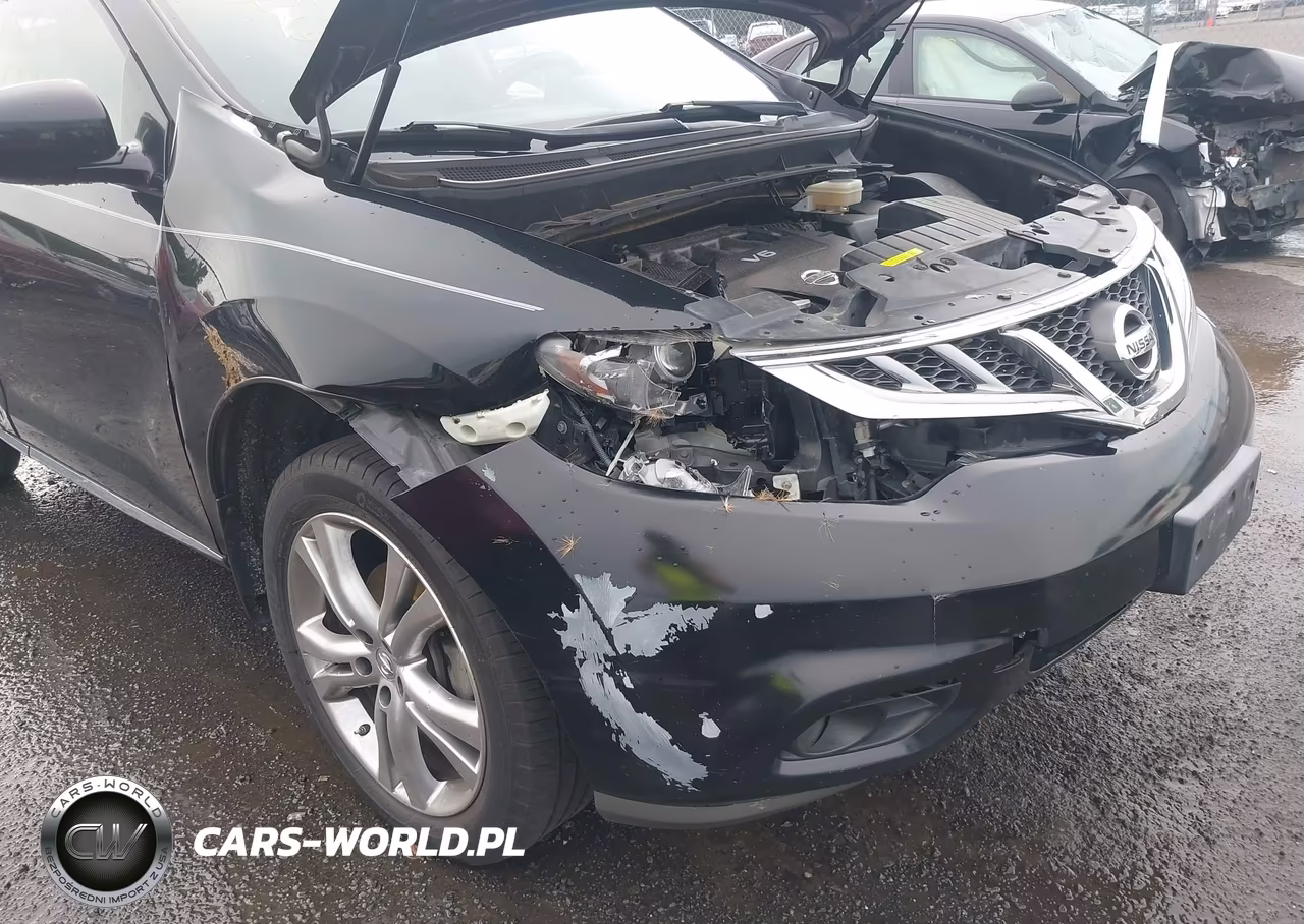 2012 Nissan Murano Le VIN:JN8AZ1MW1CW212944 - 12