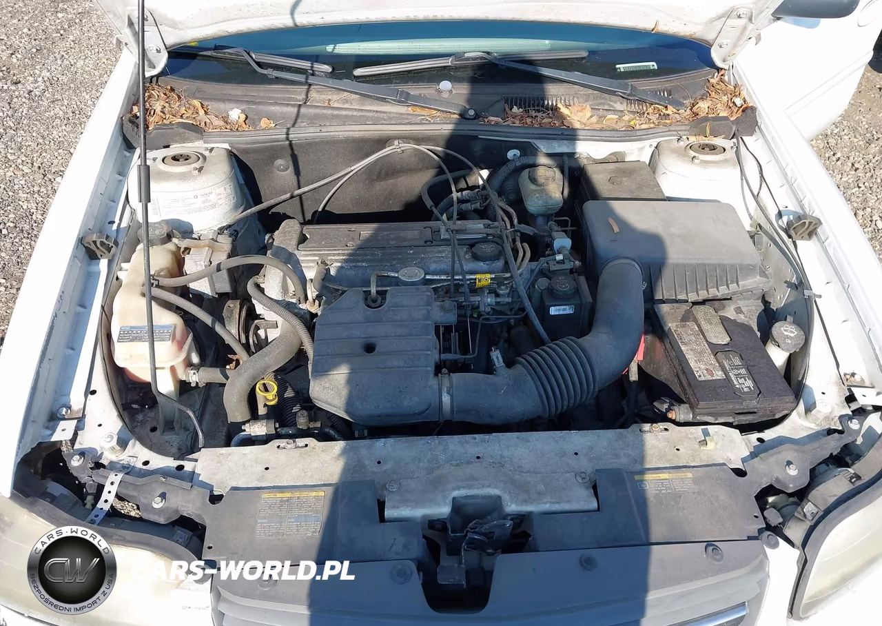 2005 Chevrolet Classic VIN:1G1ND52F85M156787 - 10