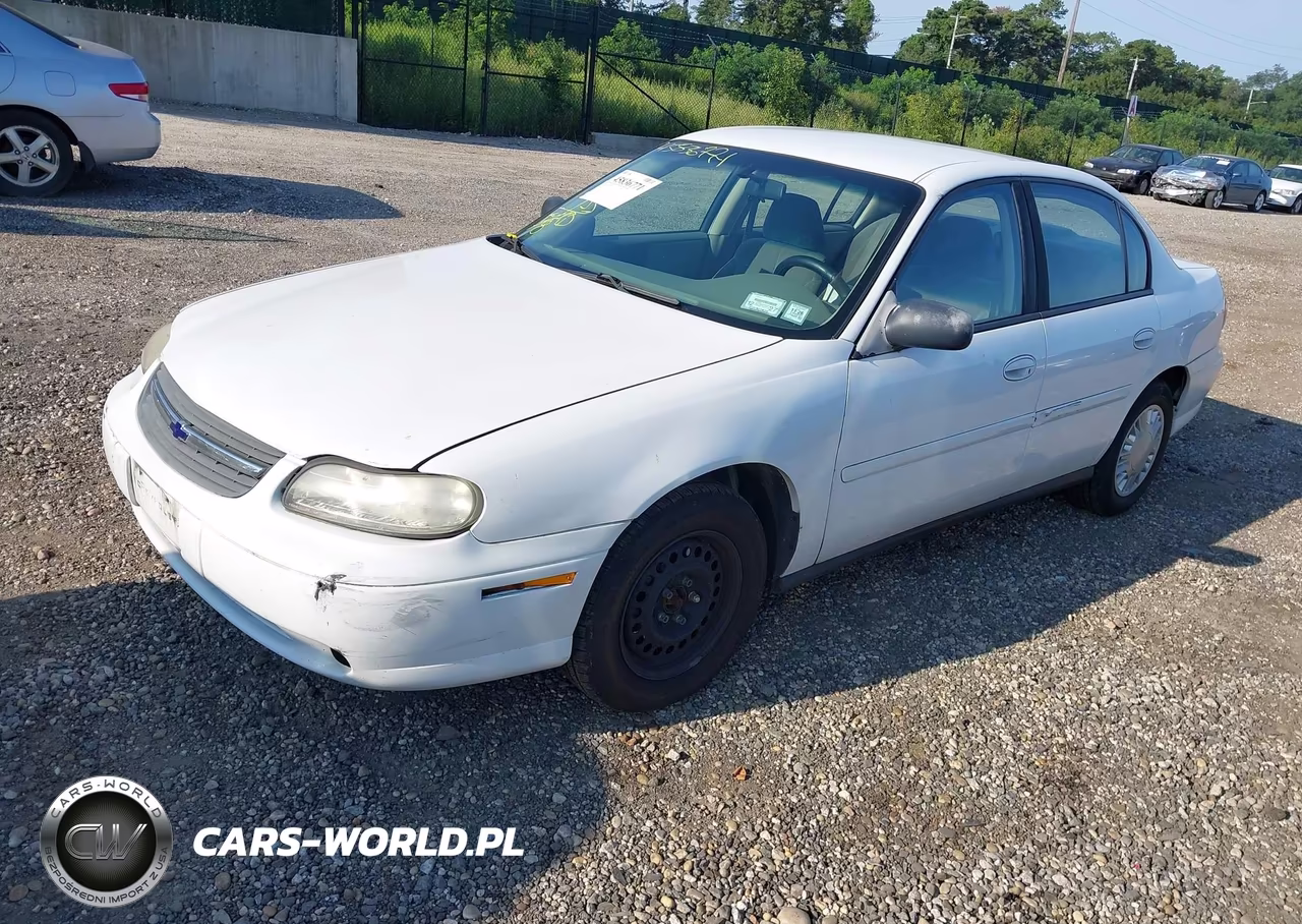 2005 Chevrolet Classic VIN:1G1ND52F85M156787 - 2