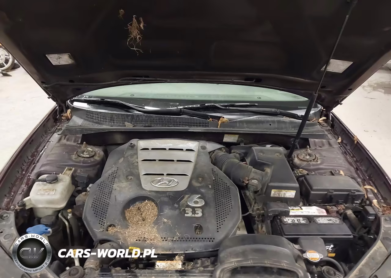 2006 Hyundai Sonata Gls V6-Lx V6 VIN:5NPEU46F86H038620 - 10