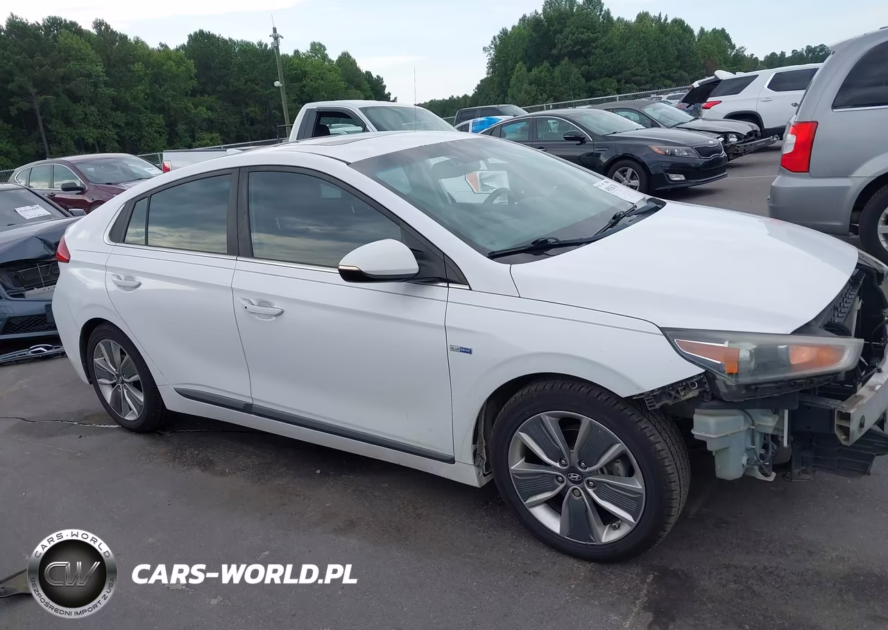2017 Hyundai Ioniq Hybrid Limited VIN:KMHC85LC9HU040098 - 13