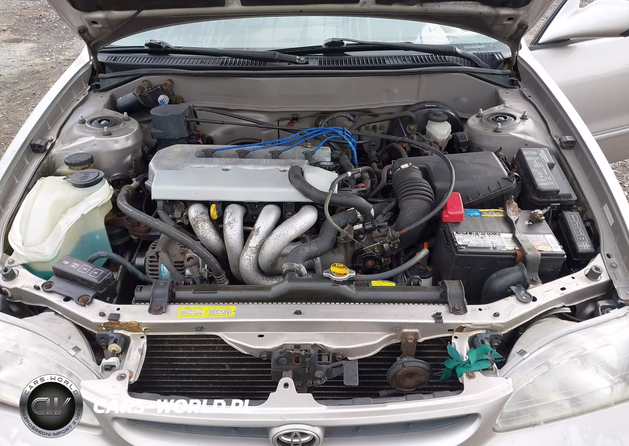 1998 Toyota Corolla Le VIN:2T1BR18E8WC023660 - 10
