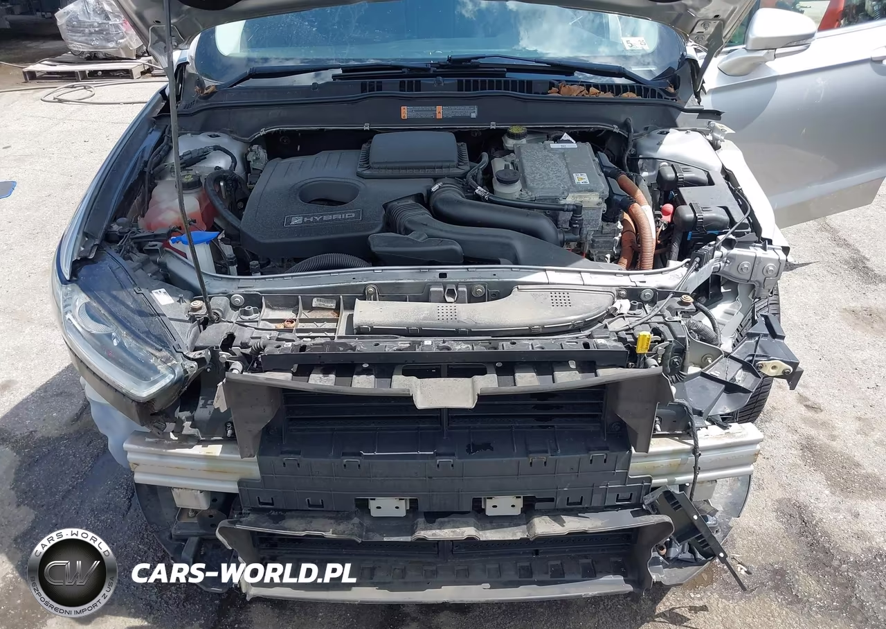 2016 Ford Fusion Hybrid Se VIN:3FA6P0LU3GR338447 - 10