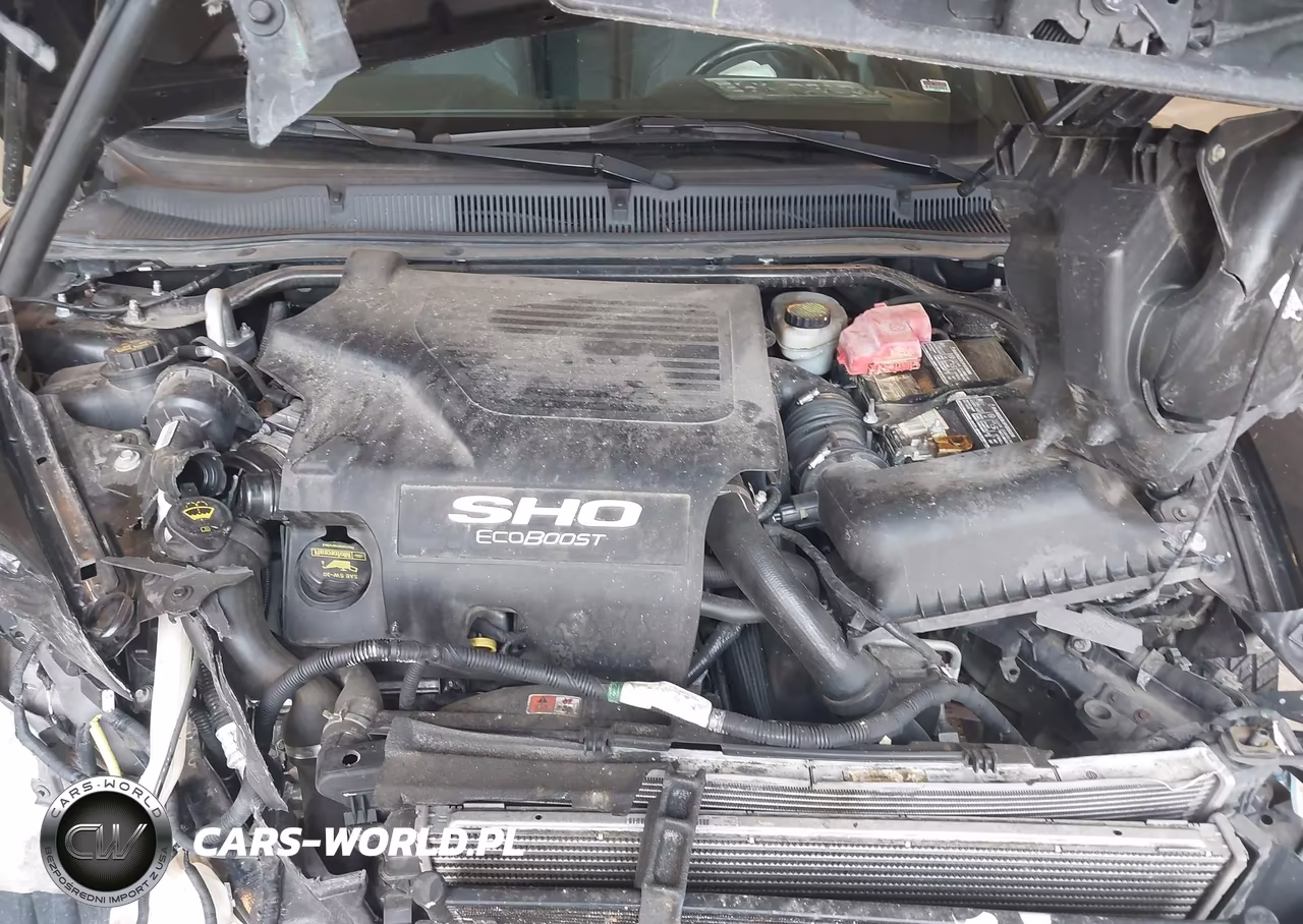 2014 Ford Taurus Sho VIN:1FAHP2KT6EG125459 - 10