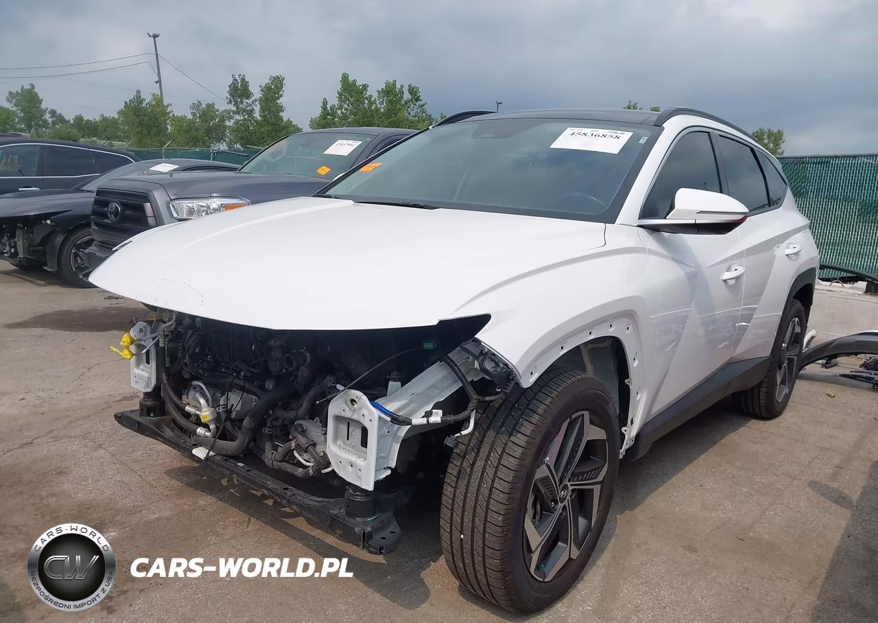 2023 Hyundai Tucson Limited VIN:5NMJECAE8PH235919 - 2