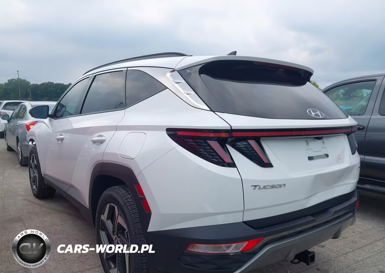 2023 Hyundai Tucson Limited VIN:5NMJECAE8PH235919 - 3