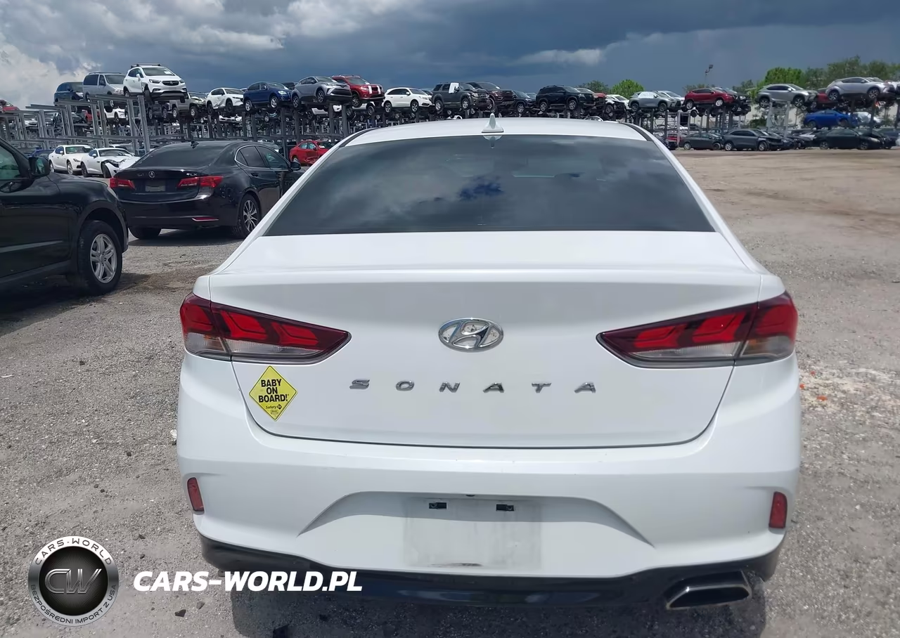 2019 Hyundai Sonata Sel VIN:5NPE34AF6KH789042 - 17