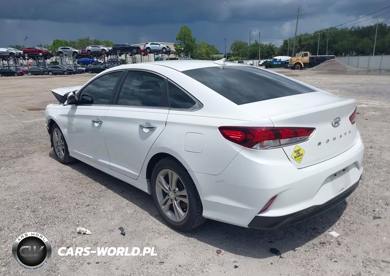 2019 Hyundai Sonata Sel VIN:5NPE34AF6KH789042 - 3