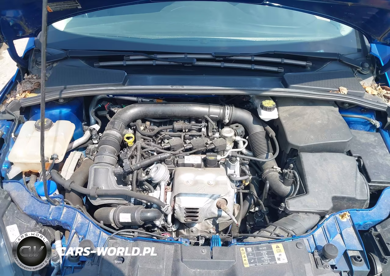 2018 Ford Focus Se VIN:1FADP3FE7JL215592 - 10