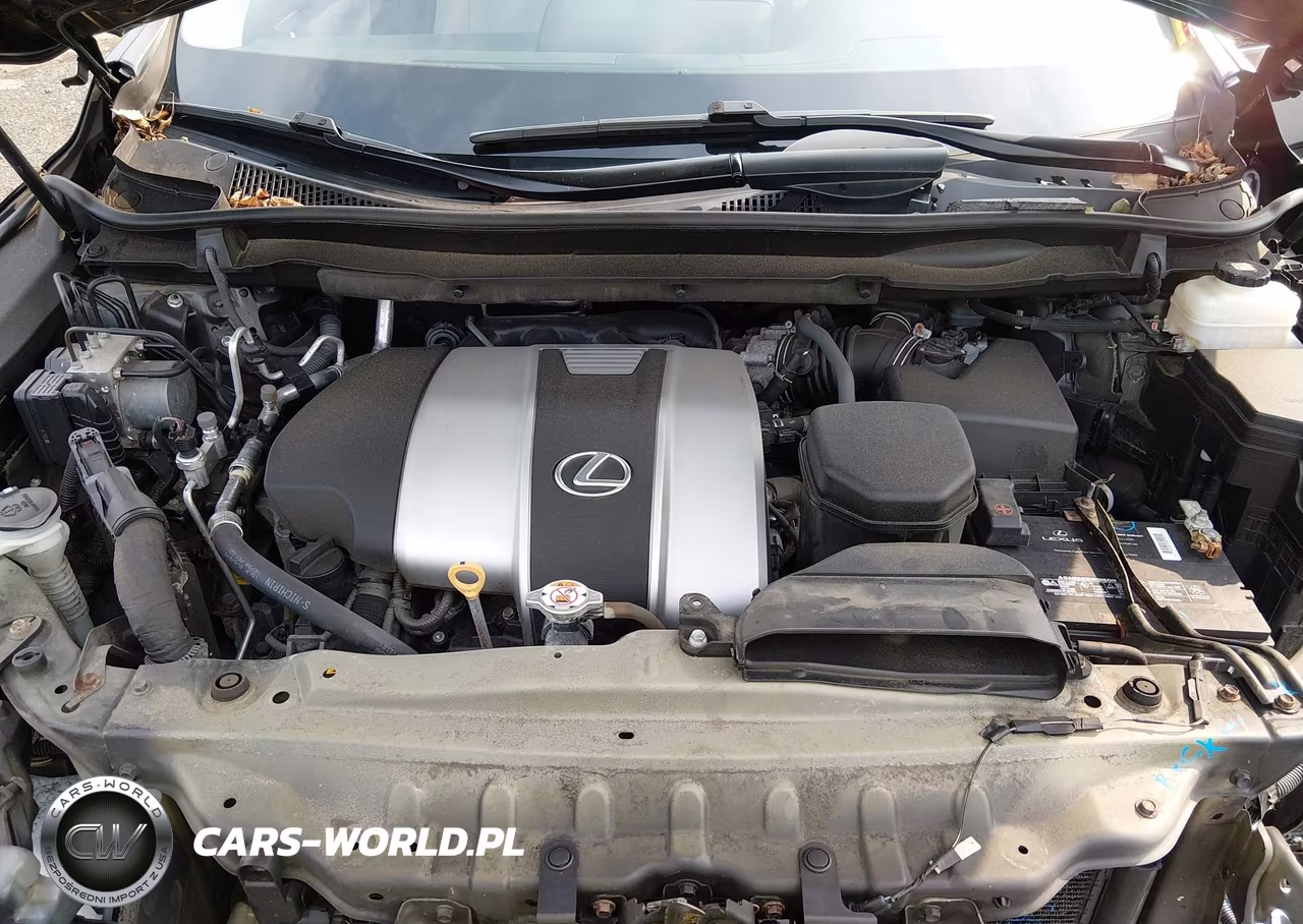 2019 Lexus Rx 350 VIN:2T2BZMCA6KC195021 - 10