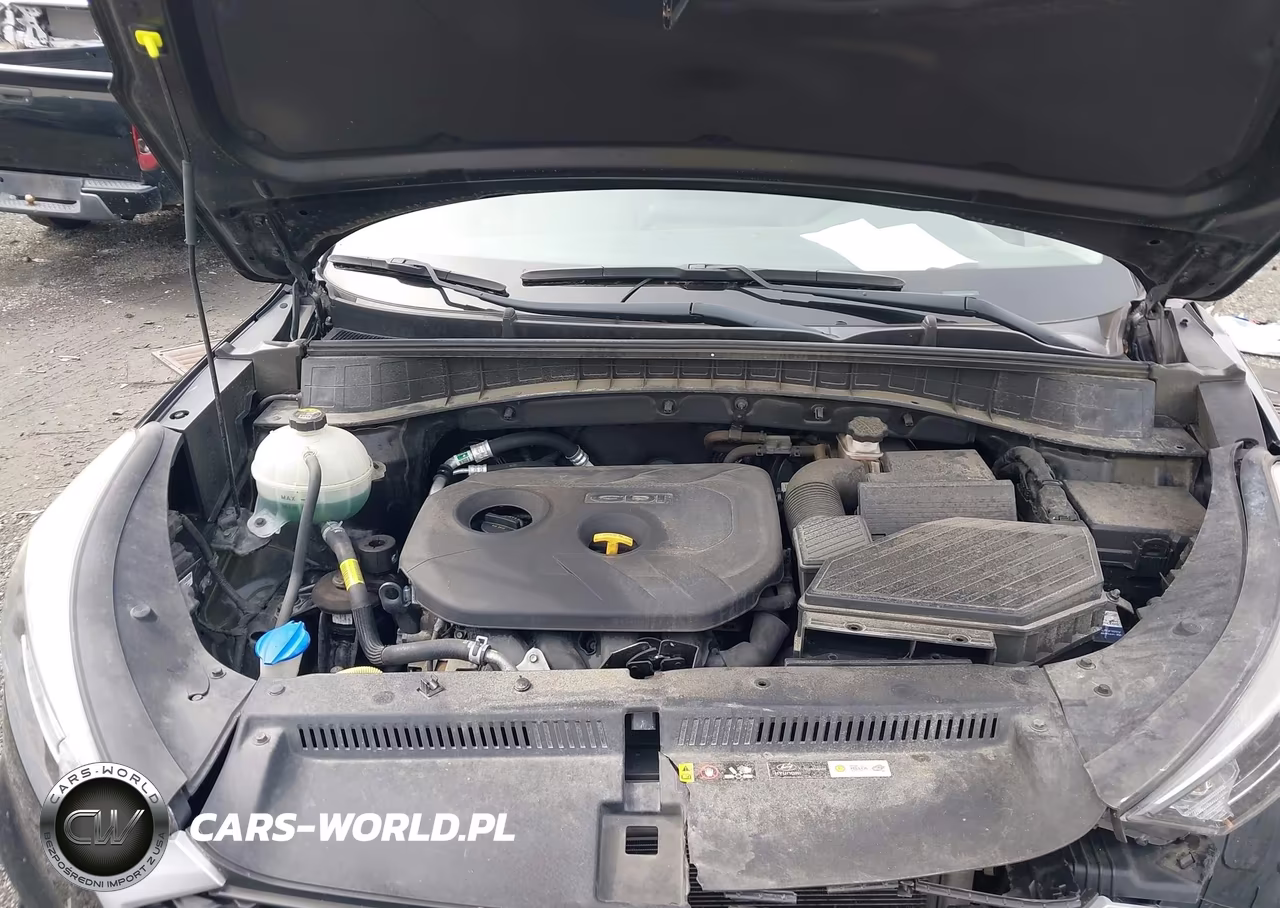 2019 Hyundai Tucson Se VIN:KM8J2CA42KU072889 - 10